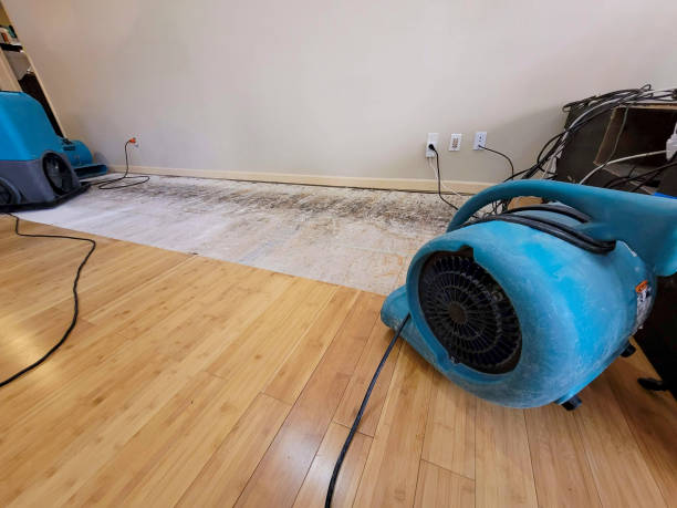Professional Emergency Water Damage technician working in Chama, CO